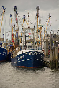Fischerboote im Hafen von Lauwersoog
