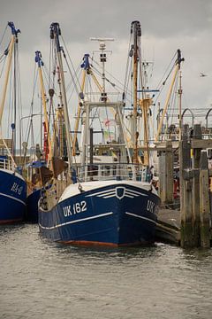 Bateaux de pêche dans le port de Lauwersoog sur scheepskijkerhavenfotografie