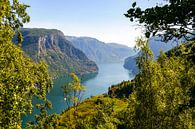 Uitzicht vanaf de hoge kliffen over het Aurlandsfjord in Noorwegen tijdens de zomer van Sjoerd van der Wal Fotografie thumbnail