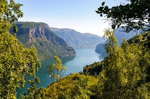 Blick von den hohen Klippen über den Aurlandsfjord in Norwegen im Sommer