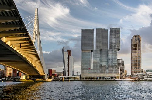 Rotterdam, Erasmus Bridge, Nieuwe Maas river and Wilhelmina Pier