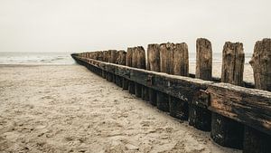 Buhne am Strand von Norderney