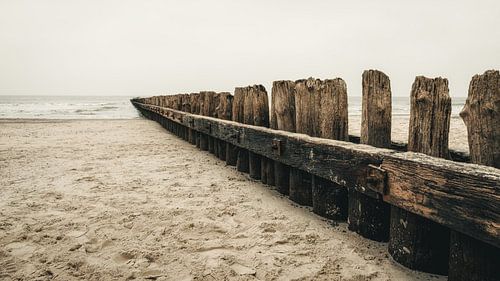 Liezen op het strand van Norderney