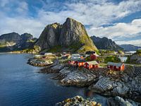 Fishing huts in Reine III