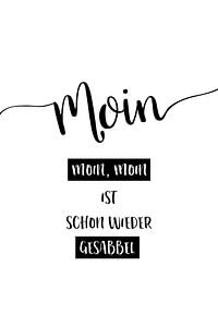 Plattdeutsch MOIN - MOIN, MOIN IST SCHON WIEDER GESABBEL