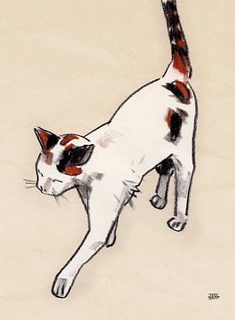 Zeichnung Katze Marrakesch von Pieter Hogenbirk