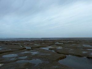 9.e Landschaft, landschaftlich reizvolle Gegend, Salzsumpf Noarderleech, waddenzee von Alies werk