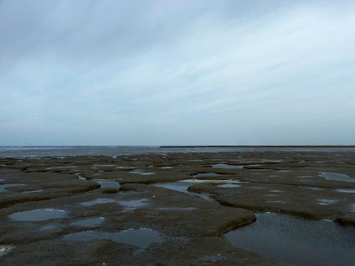 9. Landscape, nature reserve, kwelder Noarderleech, waddenzee