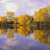 Seepark in oktober van Patrick Lohmüller