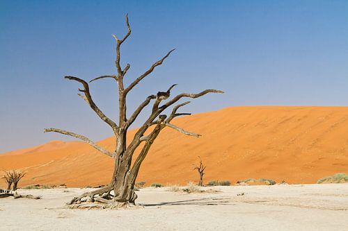 Deadvlei in Namibia