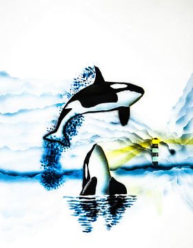 orcas by Norbert Sülzner