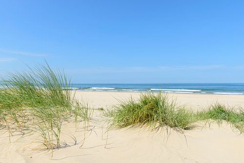 L'été à la plage avec des dunes et des vagues de sable