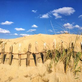 Dunes by Esther Hereijgers