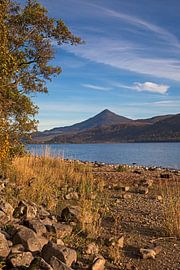 Schiehallion mountain across Loch Rannoch, Perth and Kinross, Sc by Arch White