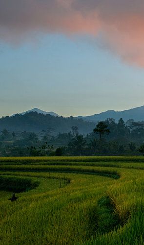 Vulkaan Gunung Agung bij Sidemen (deel 1 drieluik)