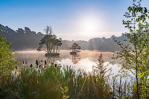 Zonsopkomst bij het Diaconie ven en de leuke eilandjes.