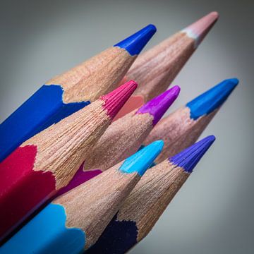kleurrijke potloden van kitty van gemert