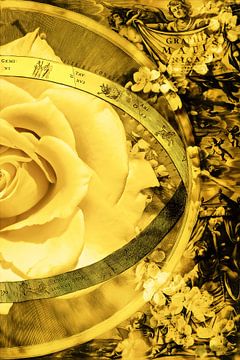 Gele roos met een oude kaart, rechts. van Helga Blanke