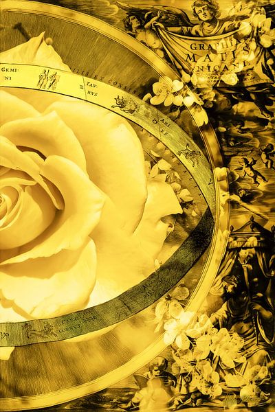 Gelbe Rose mit alter Karte, rechts. von Helga Blanke