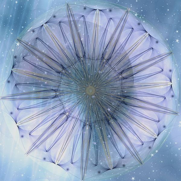 Mandala - Himmelsblume von Christine Nöhmeier