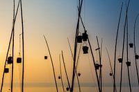 Offering River Ganges | Sunrise Photography Varanasi | Yellow Blue Landscape Photography