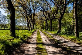 Drenthe von Brian Morgan