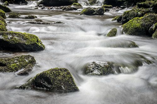 L'eau vient à vous sur As Janson
