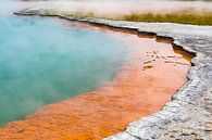 Champagne Pool  by WvH thumbnail