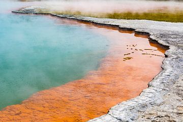 Champagne Pool  by WvH