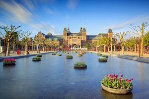Tulpen voor het Rijksmuseum