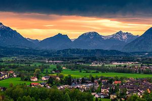 THE ALPS 01