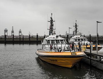 Le bateau-pilote Endeavour dans le port de Hoek van Holland. sur scheepskijkerhavenfotografie
