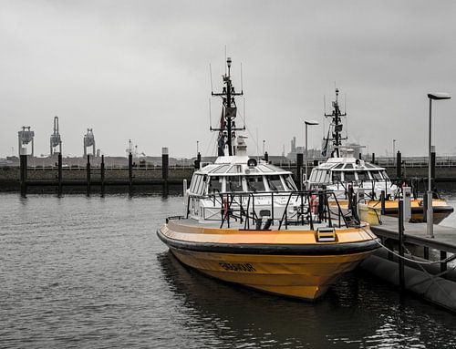 Loodsboot Endeavour in de haven van Hoek van Holland.