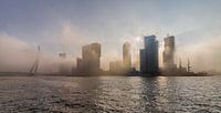 Rotterdam in de mist