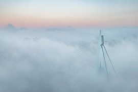 Erasmus Bridge in the fog by Ronne Vinkx