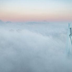 Erasmus Bridge in the fog