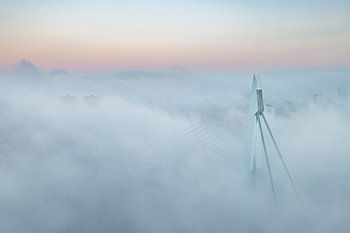 Le pont Erasmus dans le brouillard