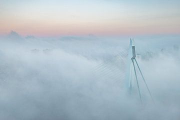 Le pont Erasmus dans le brouillard sur Ronne Vinkx