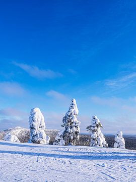 Landscape with snow in winter in Ruka, Finland by Rico Ködder