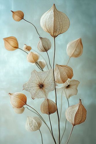 Lanterns in the Wind