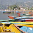 Kleurrijke boten bij het Phewa meer te Pokhara (vierkant) van Wiljo van Essen thumbnail