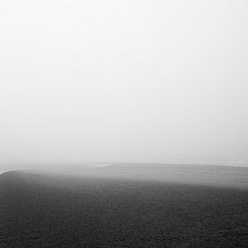 Brouillard marin sur Elke van Hessem