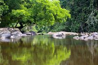 Mirror images in the Sipaliwini River in Suriname
