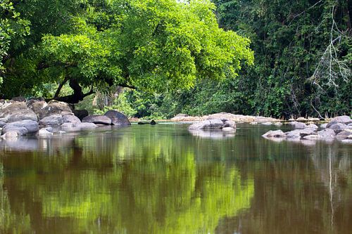 Spiegelbeelden in de Sipaliwinirivier in Suriname