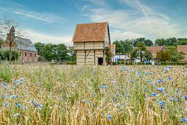 champ de fleurs et ancienne maison sur Wouter van Twillert
