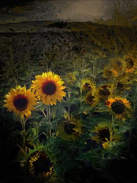 Zonnebloemen in het licht van Mario Dekker-Janssen