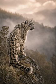 Majestueux jaguar dans la forêt tropicale humide – Photographie animalière d'art