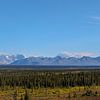 Het ultieme panorama op de met sneeuw bedekte Alaska Range vanaf de Denali Highway van Henk van Dijk