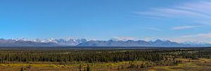Het ultieme panorama op de met sneeuw bedekte Alaska Range vanaf de Denali Highway