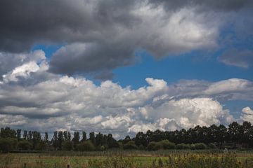 Zwolle Sommer 2019 von Stefan Lucassen